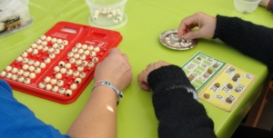 Centros de Dia e Clubes S&eacute;nior